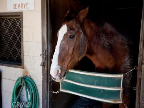 2026  Via Mariposa  D , Laguna Woods, CA