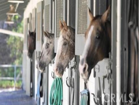 803  Ronda Mendoza  N , Laguna Woods, CA