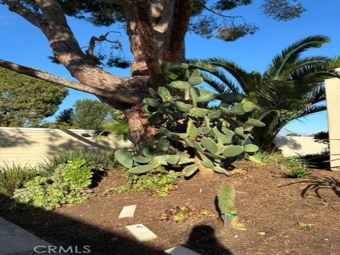 2091  Ronda Granada  D , Laguna Woods, CA