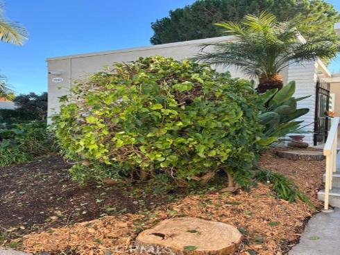 2091  Ronda Granada  D , Laguna Woods, CA