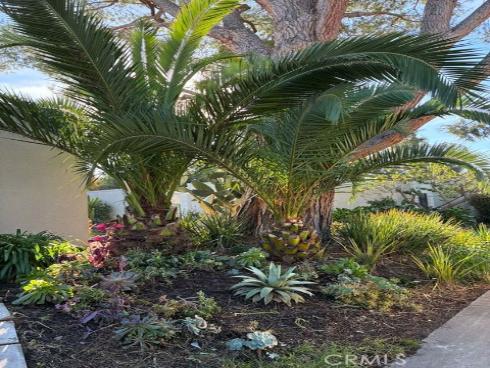 2091  Ronda Granada  D , Laguna Woods, CA