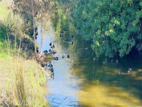 898  Ronda Sevilla  N , Laguna Woods, CA