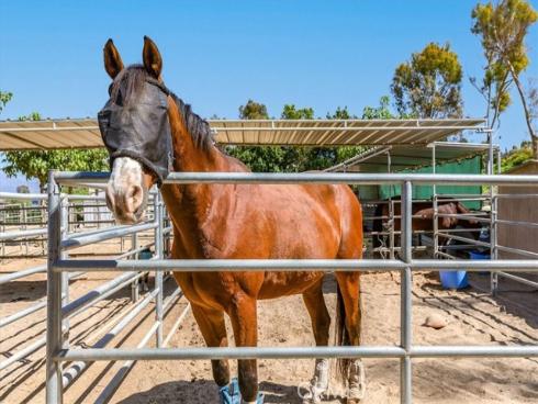 700 Avenida Sevilla Q , Laguna Woods, CA