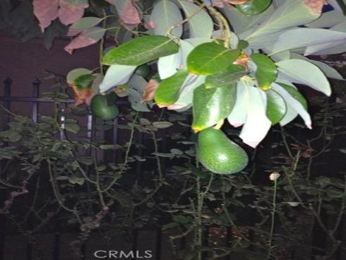 5384 W Paseo Del Lago  A , Laguna Woods, CA