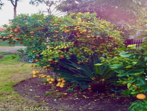 5384 W Paseo Del Lago  A , Laguna Woods, CA