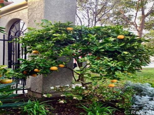 5384 W Paseo Del Lago  A , Laguna Woods, CA