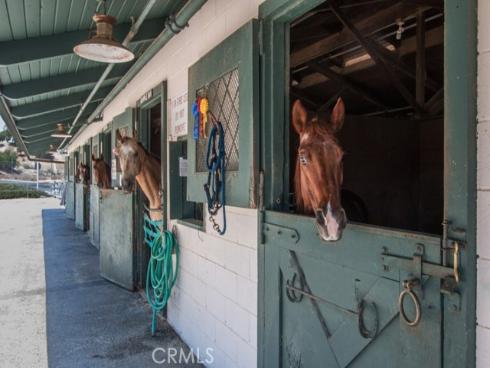 3110  Via Serena South  P , Laguna Woods, CA