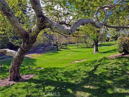 179  Avenida Majorca  C , Laguna Woods, CA