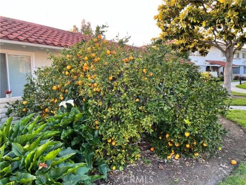 2313  Via Puerta  Q , Laguna Woods, CA