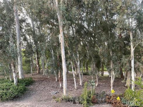 24603 Copper Cliff 11 Court, Lake Forest, CA