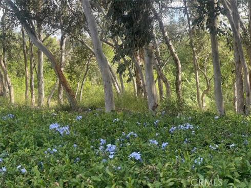 24603 Copper Cliff 11 Court, Lake Forest, CA