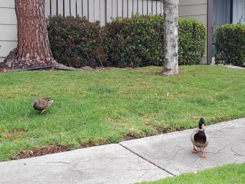 20702 El Toro Rd 318 , Lake Forest, CA