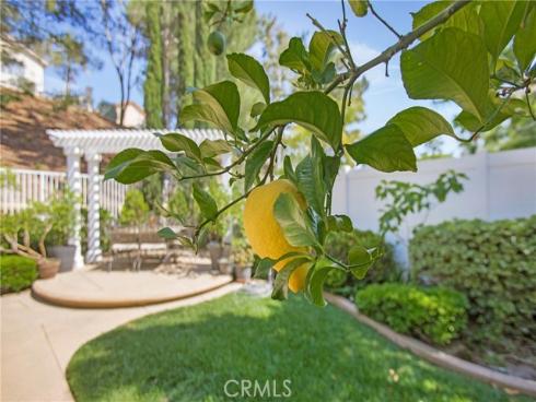 16  Vitale   Lane, Lake Forest, CA