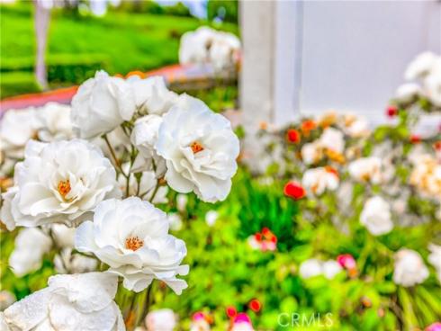 21011  Marin  103 , Lake Forest, CA