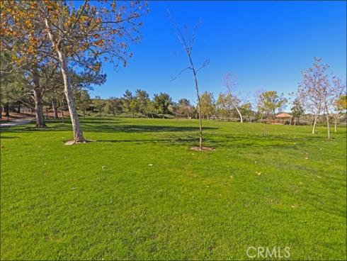 28752 Vista Saddleback , Lake Forest, CA