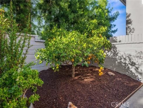 25062 Paseo Cipres , Lake Forest, CA