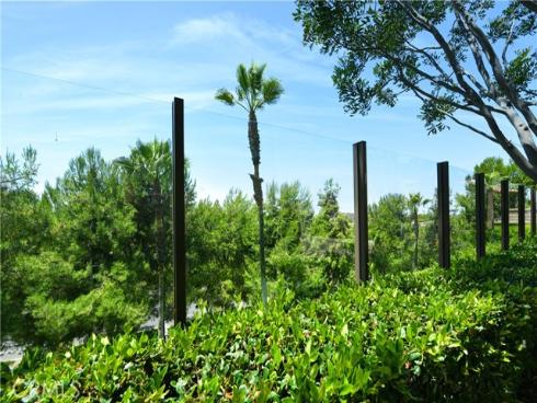 99  Fuchsia  , Lake Forest, CA