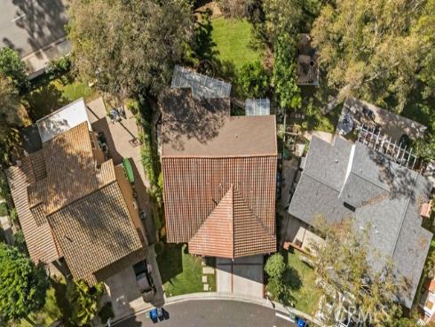 25116  Cineria  , Lake Forest, CA