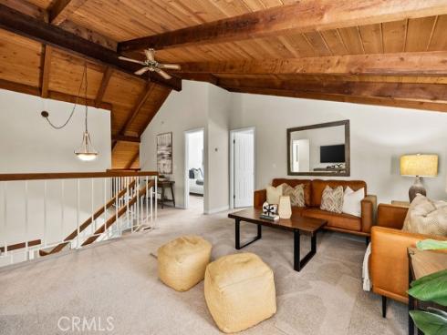 25116  Cineria  , Lake Forest, CA