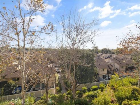 25224  Birch Grove  3  Lane, Lake Forest, CA