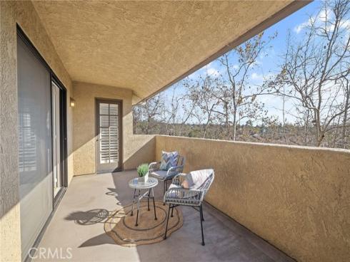 25224 Birch Grove 3 Lane, Lake Forest, CA