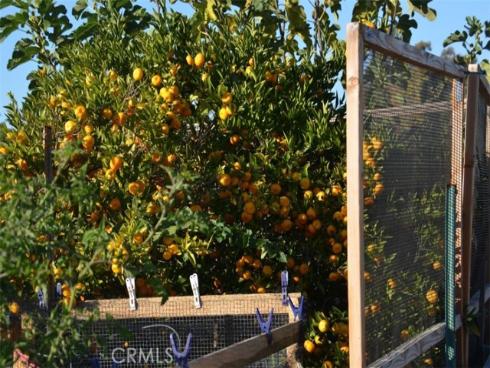 27731  Via Alberti  , Mission Viejo, CA