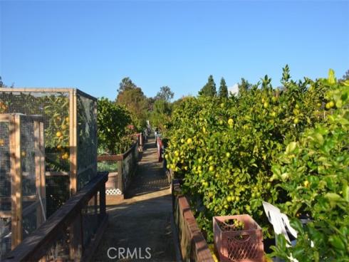 23861  Via Maragall  , Mission Viejo, CA