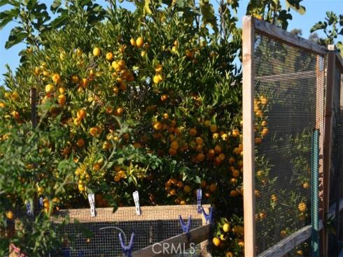 23861  Via Maragall  , Mission Viejo, CA