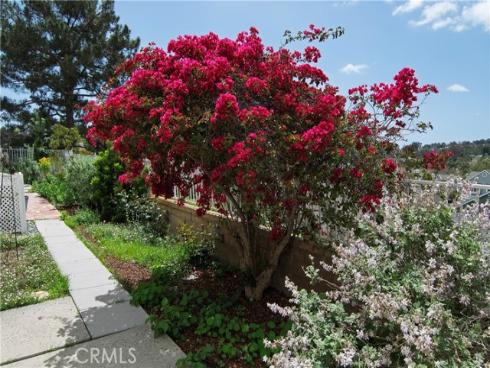 28242 Elmwood , Mission Viejo, CA