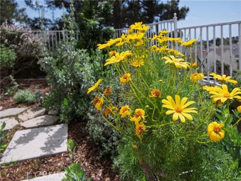 28242 Elmwood , Mission Viejo, CA