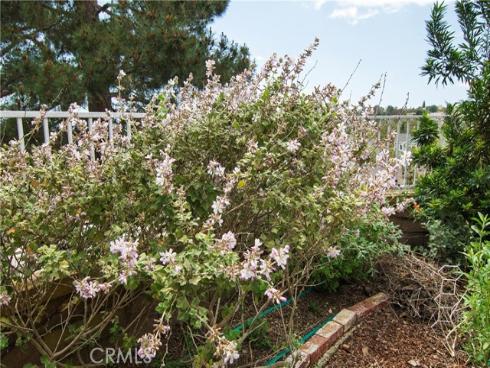 28242 Elmwood , Mission Viejo, CA