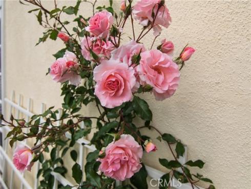 28242  Elmwood  , Mission Viejo, CA