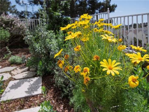 28242  Elmwood  , Mission Viejo, CA