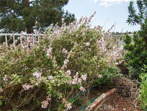 28242  Elmwood  , Mission Viejo, CA