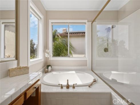 23161  Bouquet Canyon   Court, Mission Viejo, CA