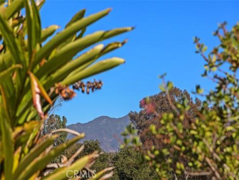 22561  Demasia  , Mission Viejo, CA