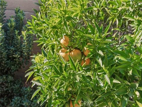 27301  Monforte  , Mission Viejo, CA