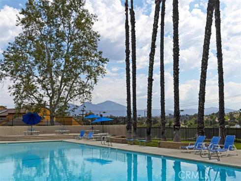 24771  Daphne E  , Mission Viejo, CA