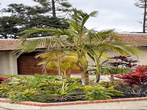 24182  Adonis  , Mission Viejo, CA