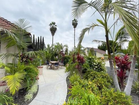 24182  Adonis  , Mission Viejo, CA