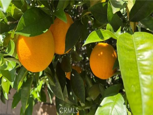 27426  Sereno  , Mission Viejo, CA