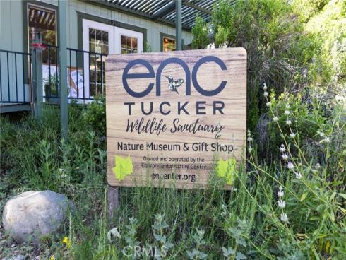 29422  Modjeska Canyon Rd  , Modjeska Canyon, CA