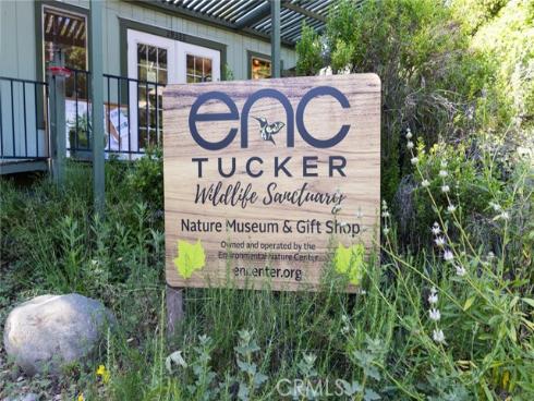 28932  Kommers   Lane, Modjeska Canyon, CA