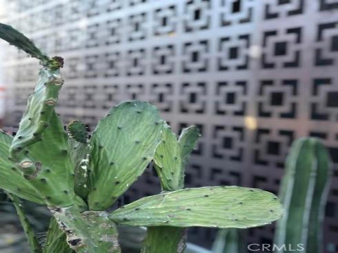 231 61st Street, Newport Beach, CA