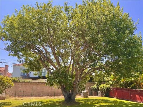 20282 Bayview Avenue, Newport Beach, CA