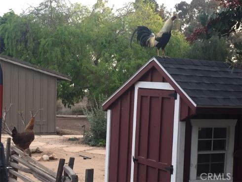 20261  Orchid   Street, Newport Beach, CA