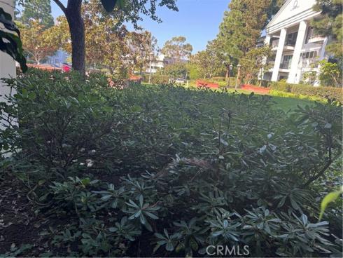 101  Scholz  123  Plaza, Newport Beach, CA