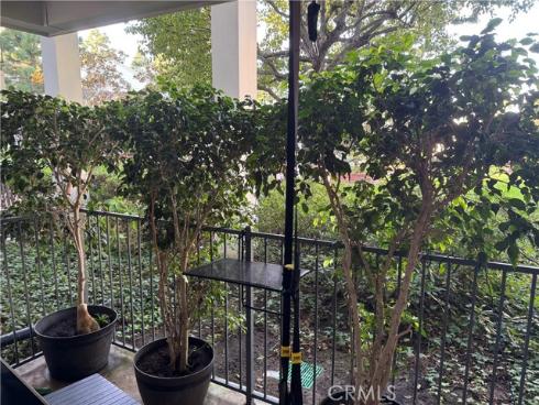 101  Scholz  123  Plaza, Newport Beach, CA