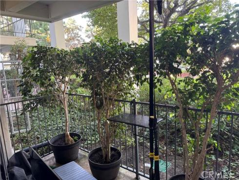 101  Scholz  123  Plaza, Newport Beach, CA