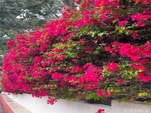 67  Sea Island   Drive, Newport Beach, CA